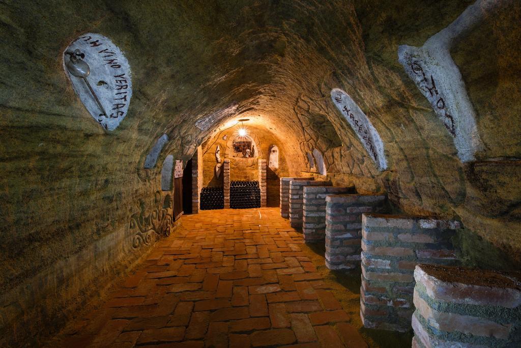 Nad Vinnym Sklipkem Znojmo Extérieur photo